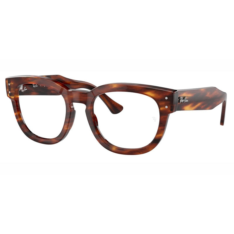 Ray Ban 0RX0298V