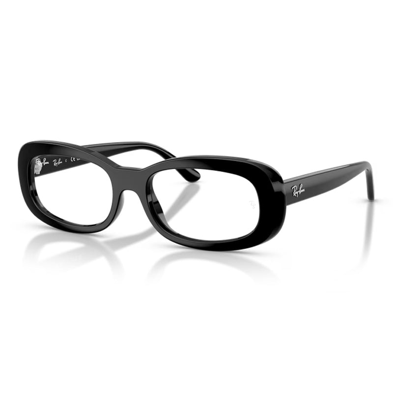 Ray Ban 0RX2221V