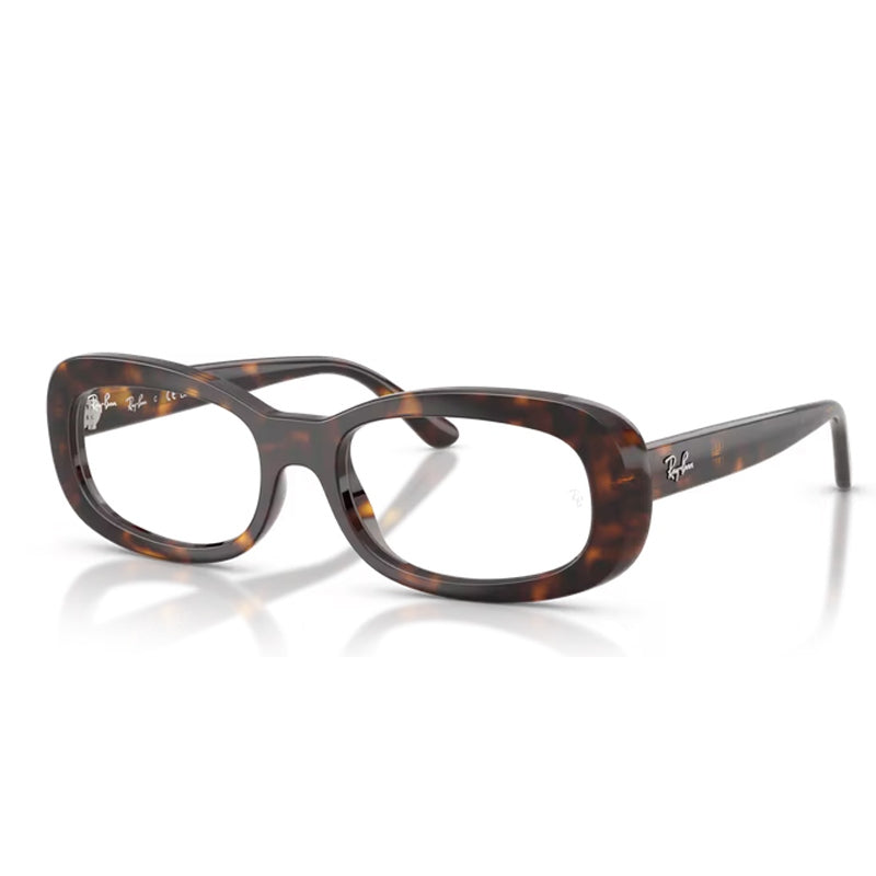 Ray Ban 0RX2221V