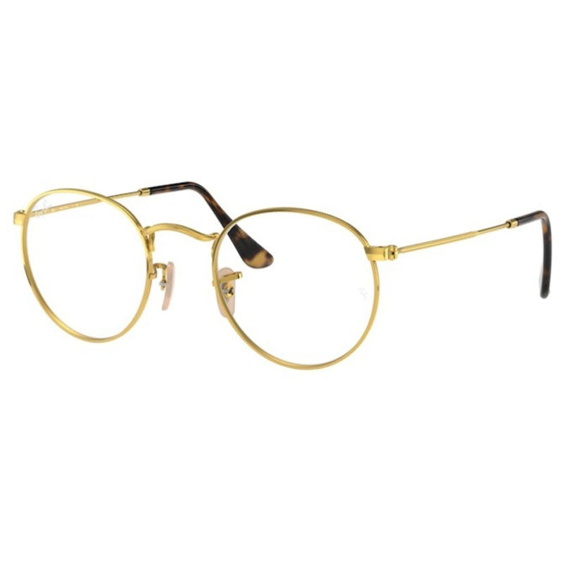 Ray Ban 0RX3447V