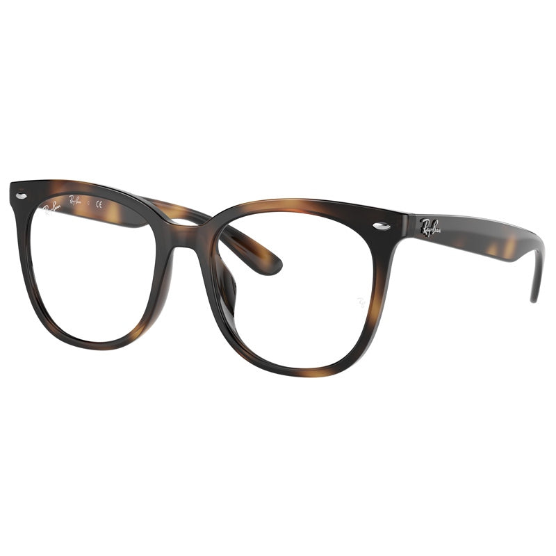 Ray Ban 0RX4379VD