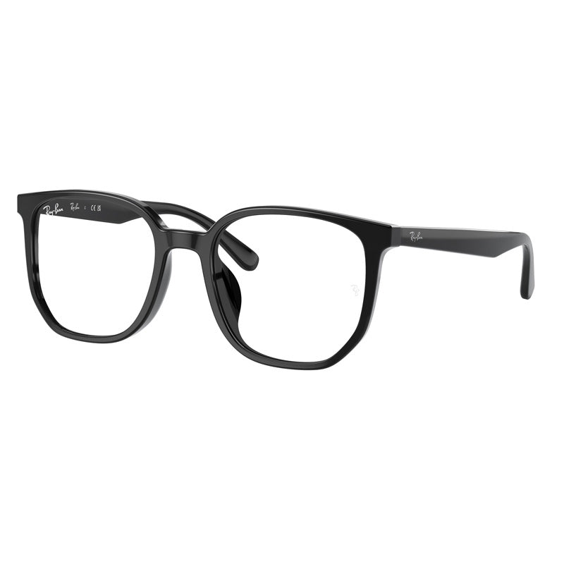 Ray Ban 0RX5411D