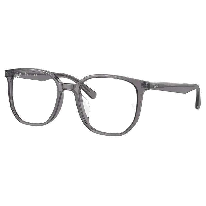 Ray Ban 0RX5411D