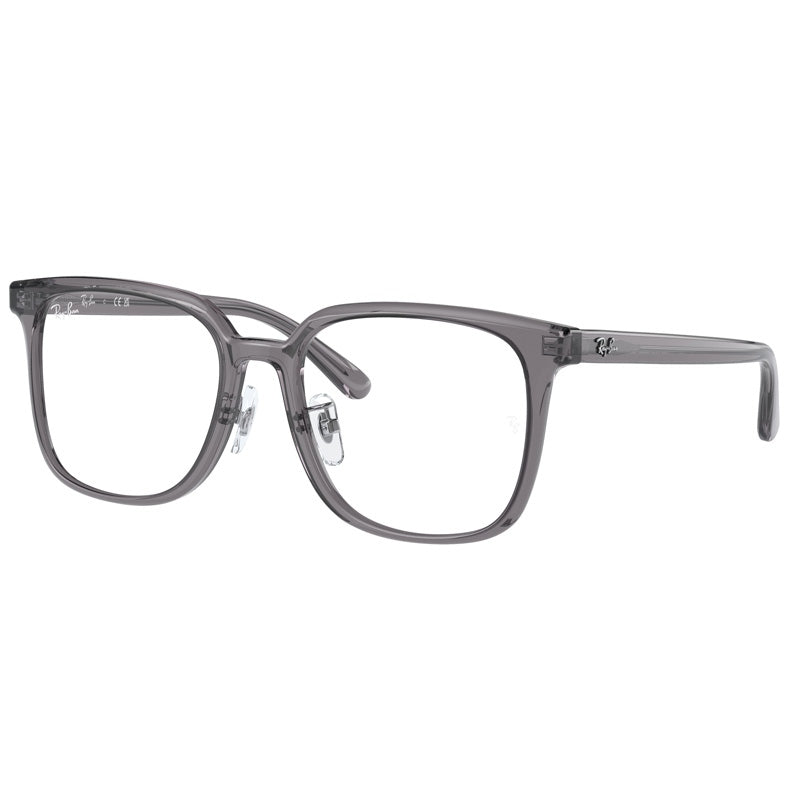 Ray Ban 0RX5419D