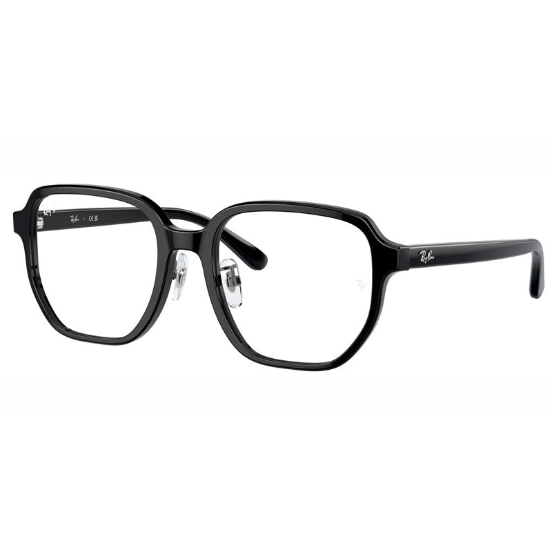 Ray Ban 0RX5424D