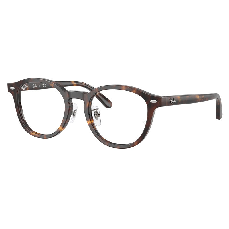 Ray Ban 0RX5443D