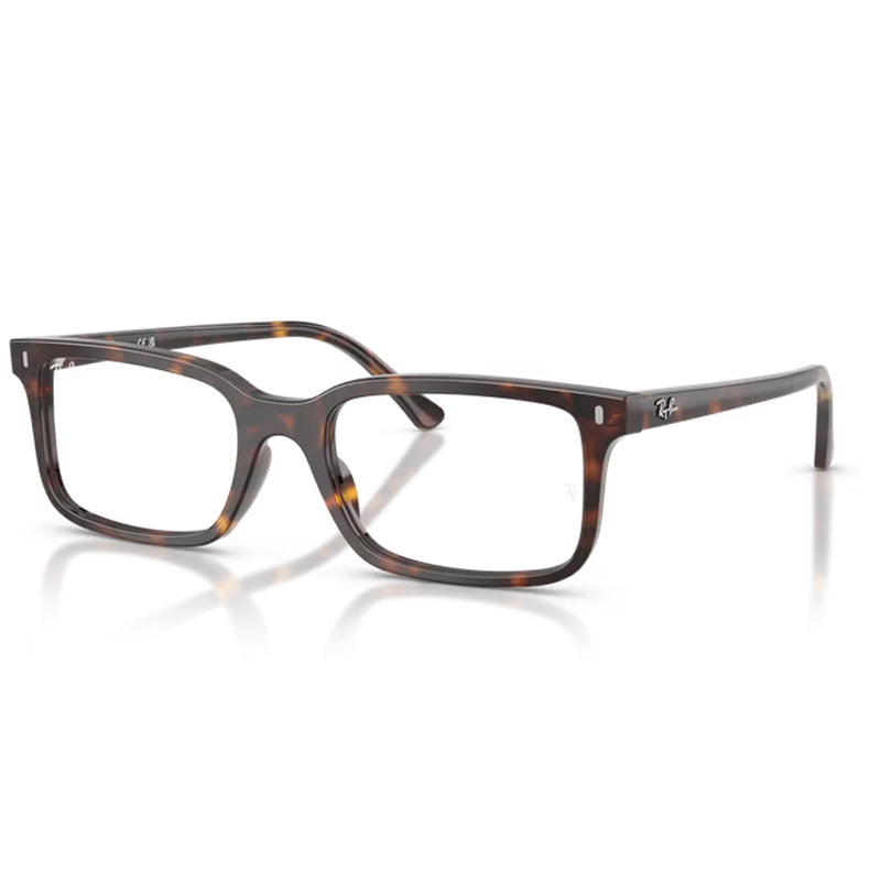 Ray Ban 0RX5445