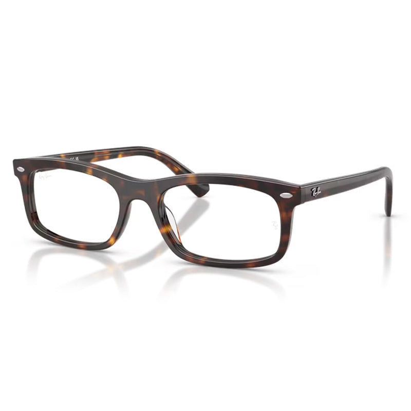 Ray Ban 0RX5450