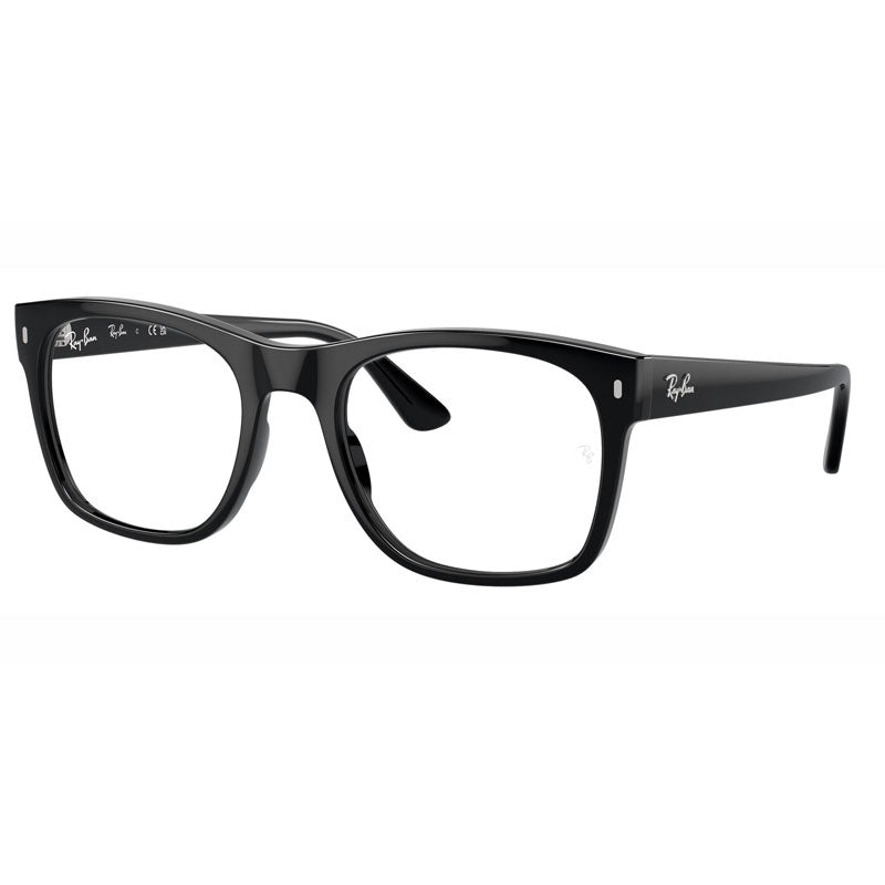 Ray Ban 0RX7228