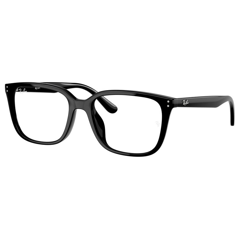Ray Ban 0RX7248D