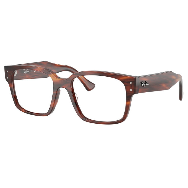 Ray Ban 0RX7256