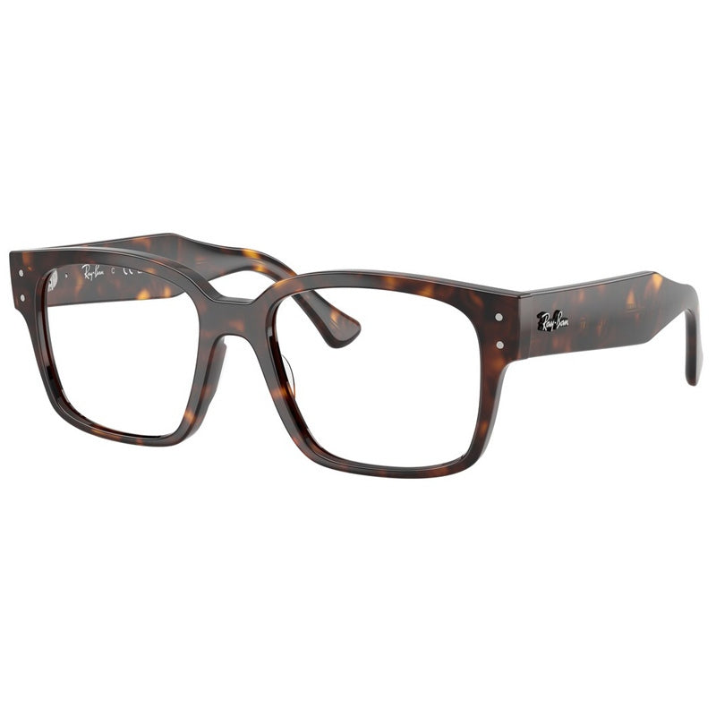 Ray Ban 0RX7256