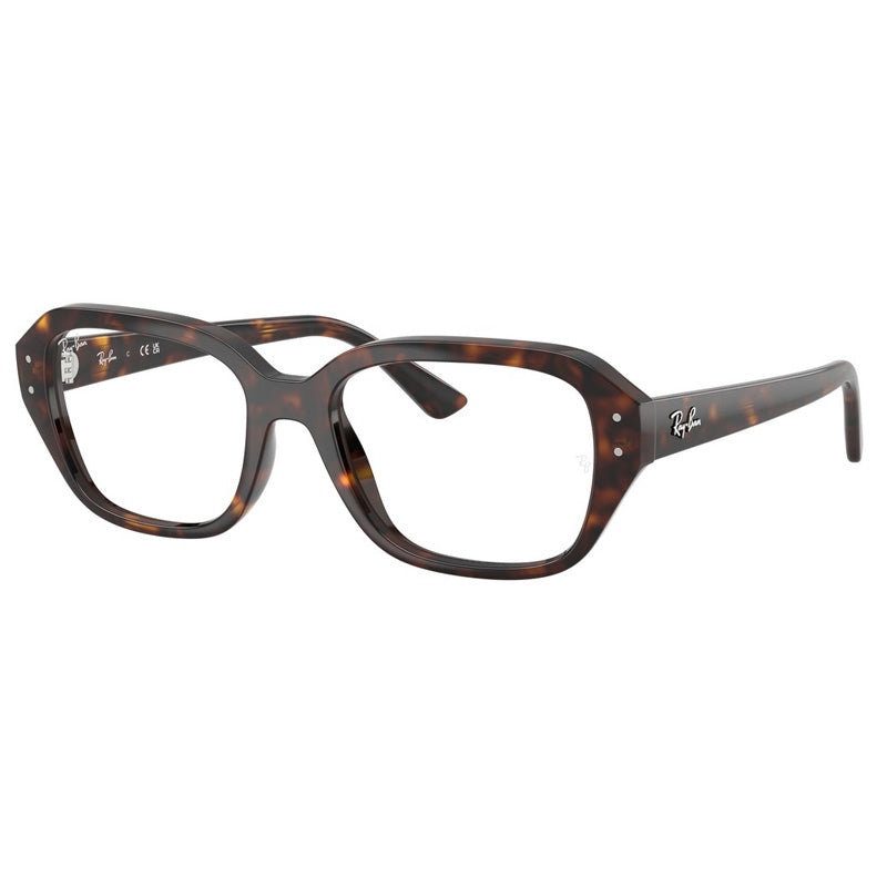 Ray Ban 0RX7258