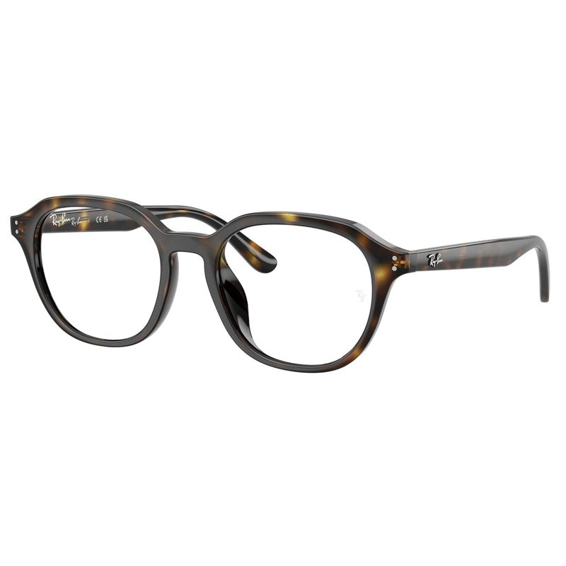 Ray Ban 0RX7259D