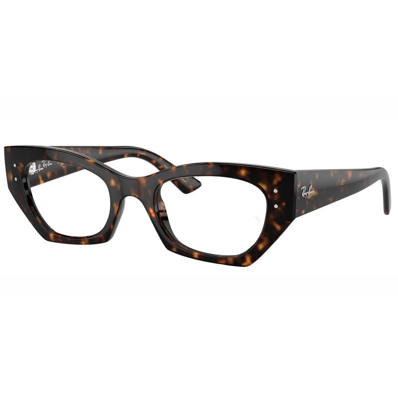 Ray Ban 0RX7330