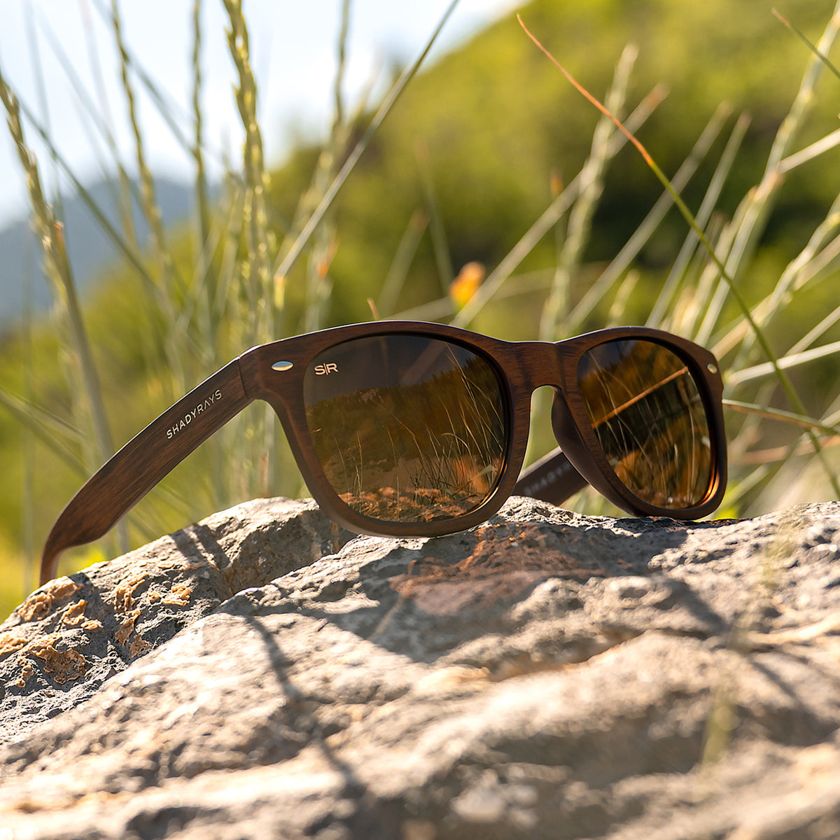 Classic Timber - Amber Woods Polarized