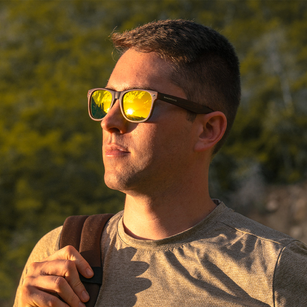 Classic Timber - Golden Polarized