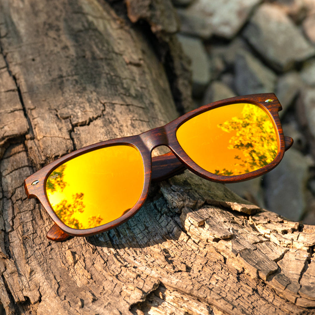 Classic Timber - Golden Polarized