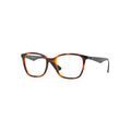 Ray Ban RX7066